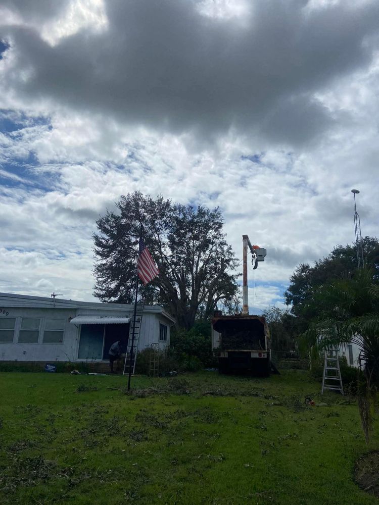 Fall and Spring Clean Up for Efficient and Reliable Tree Service in Lake Wales, FL