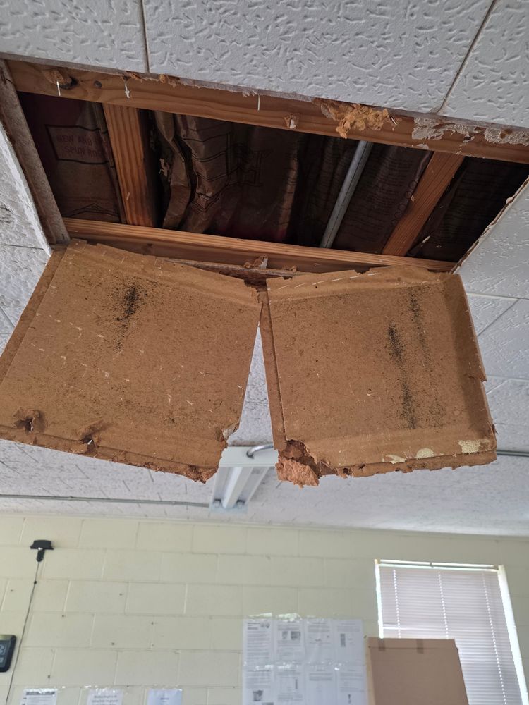 All Photos for A 1 Renovations and Contracting in Richland Parish, LA