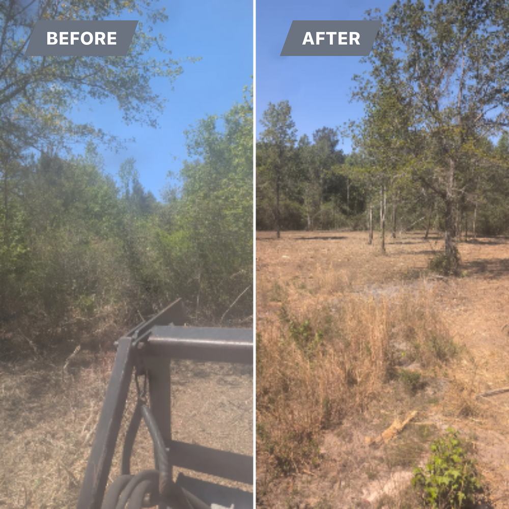 All Photos for TDWS Land Management in Blackshear, GA