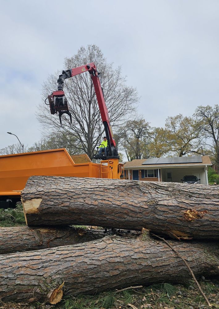 Other Services for Millers Tree Service in Saline County, AR