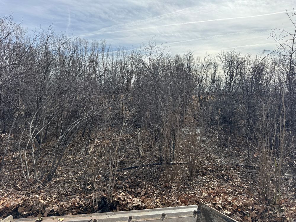 All Photos for Rock Masters Inc. in Evans, CO