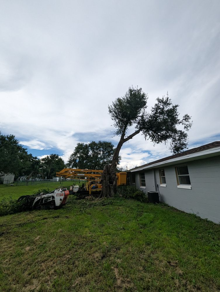 All Photos for Regal Tree Service and Stump Grinding in Wauchula, FL