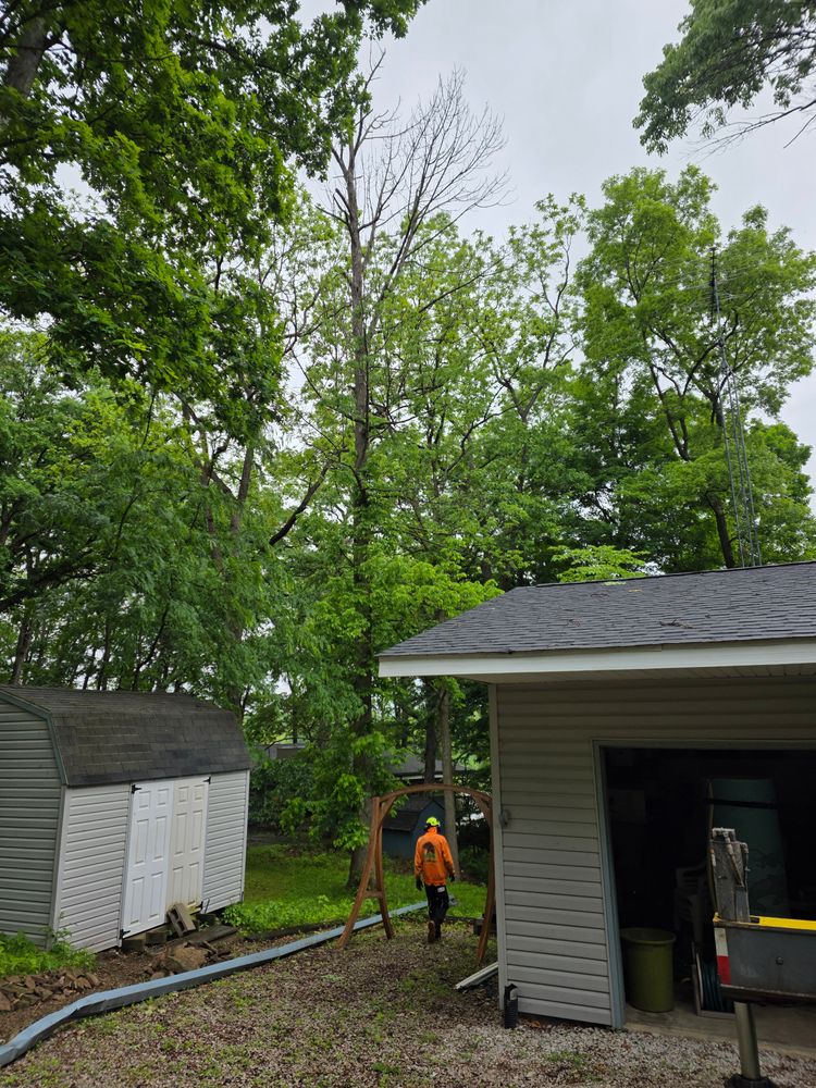 All Photos for Advanced Tree Solutions in Rockville, IN