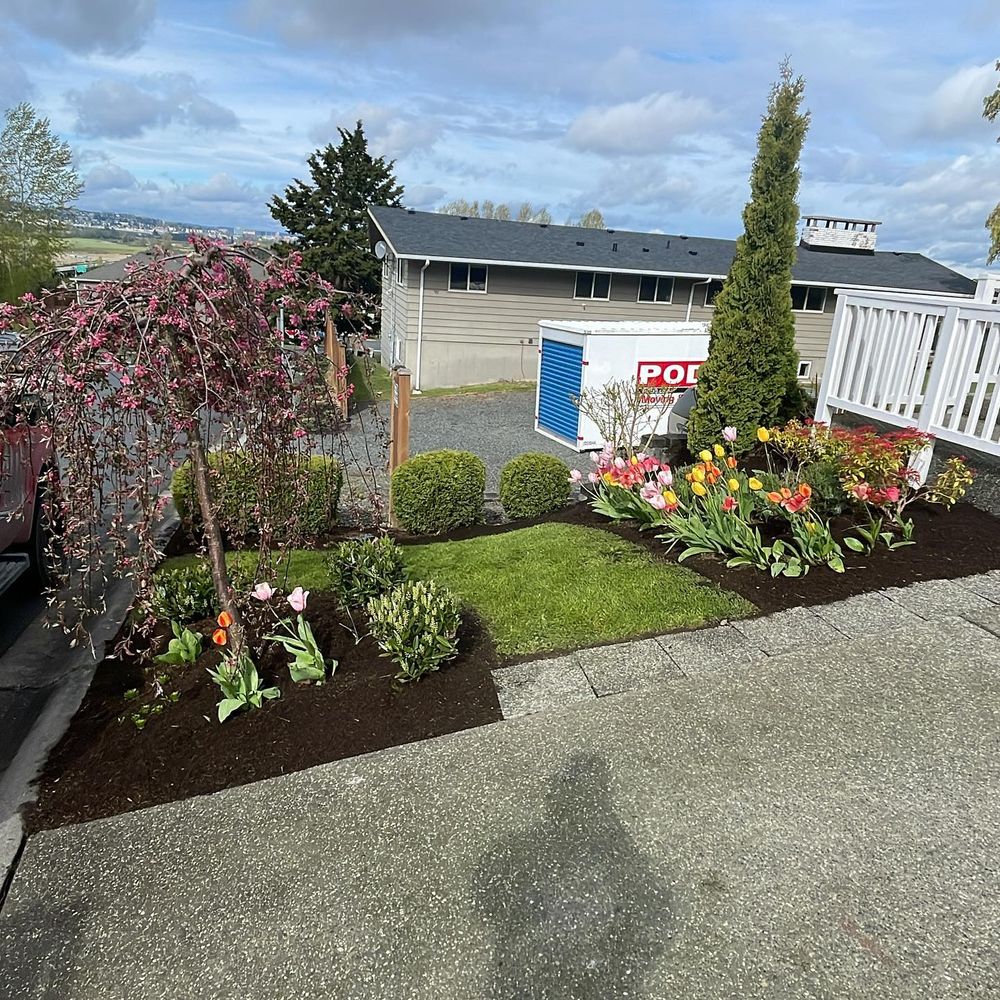 Landscaping for SAW Enterprises  in Arlington , WA