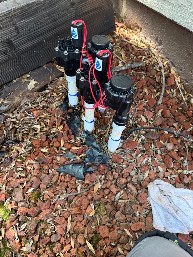 All Photos for CBA Landscaping in Hayward, CA