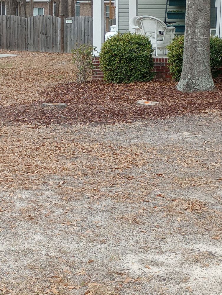 Tree Removal for Tucker's Tree Service and Stump Grinding in Lugoff, SC