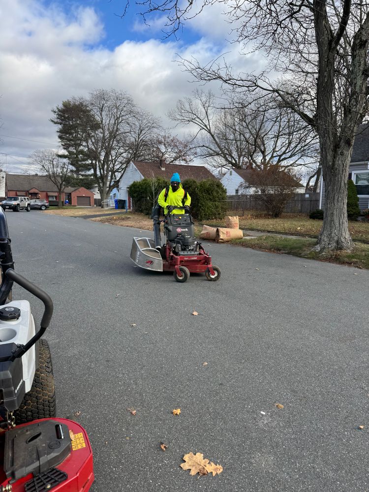 All Photos for Adams Landscaping in Springfield, MA