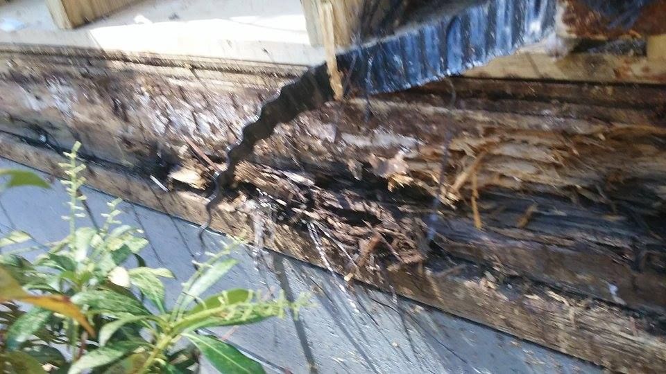 All Photos for Home Pros in Maple Falls, WA