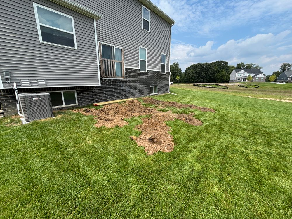All Photos for Mr. Posthole in Howell, MI