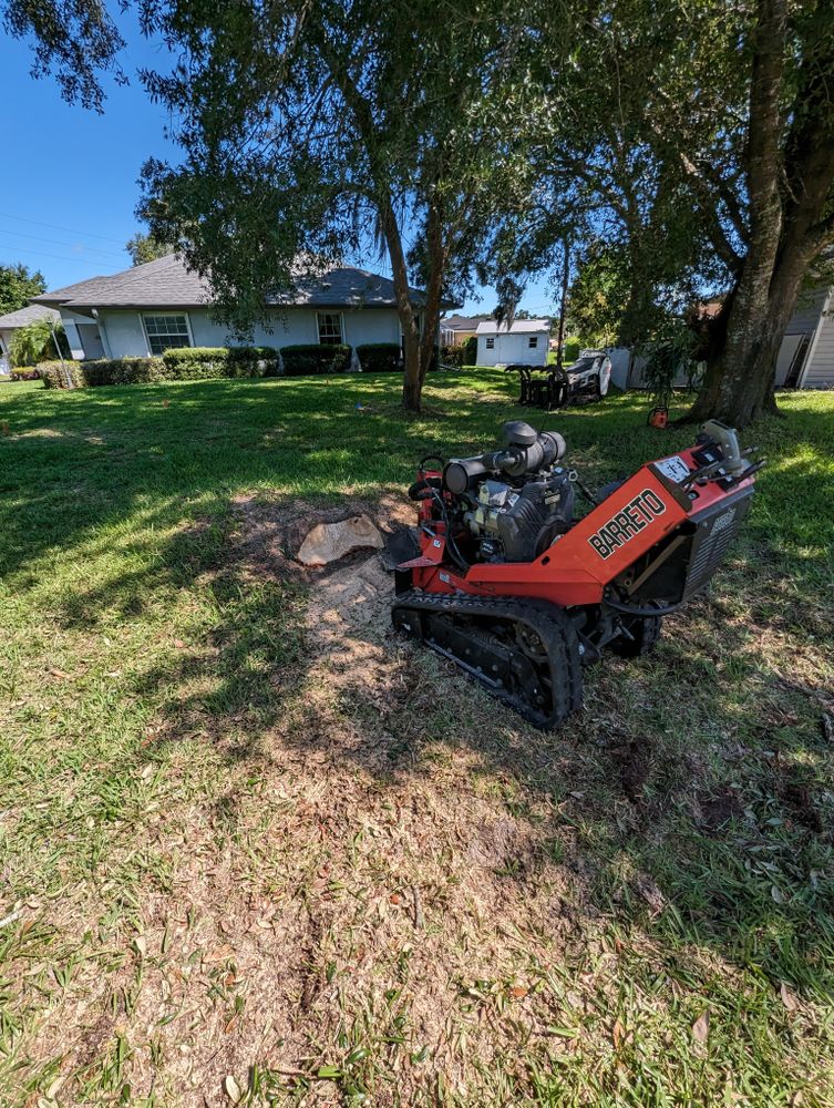 All Photos for Regal Tree Service and Stump Grinding in Wauchula, FL