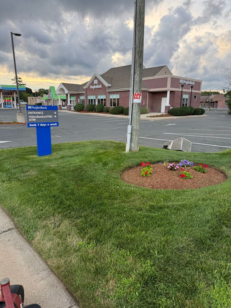 All Photos for Adams Landscaping in Springfield, MA