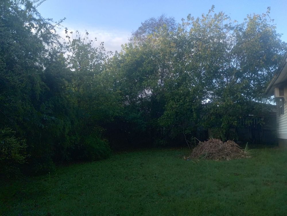 Tree Removal for Scott's Tree Service in Athens, TN