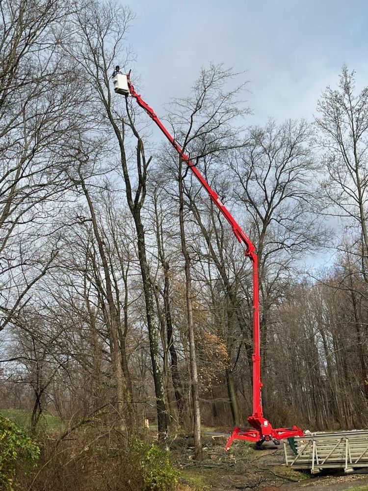Tree Services for Wiley Landscape Design in York, PA