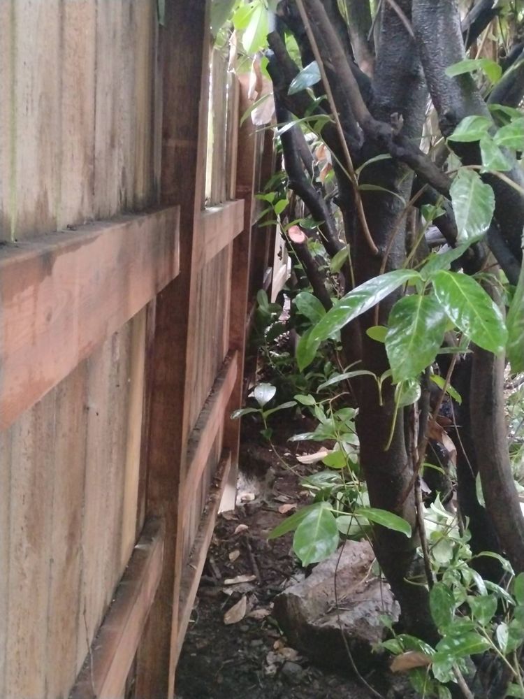 All Photos for Reset Construction LLC Fence & Deck Repairs in Portland, OR