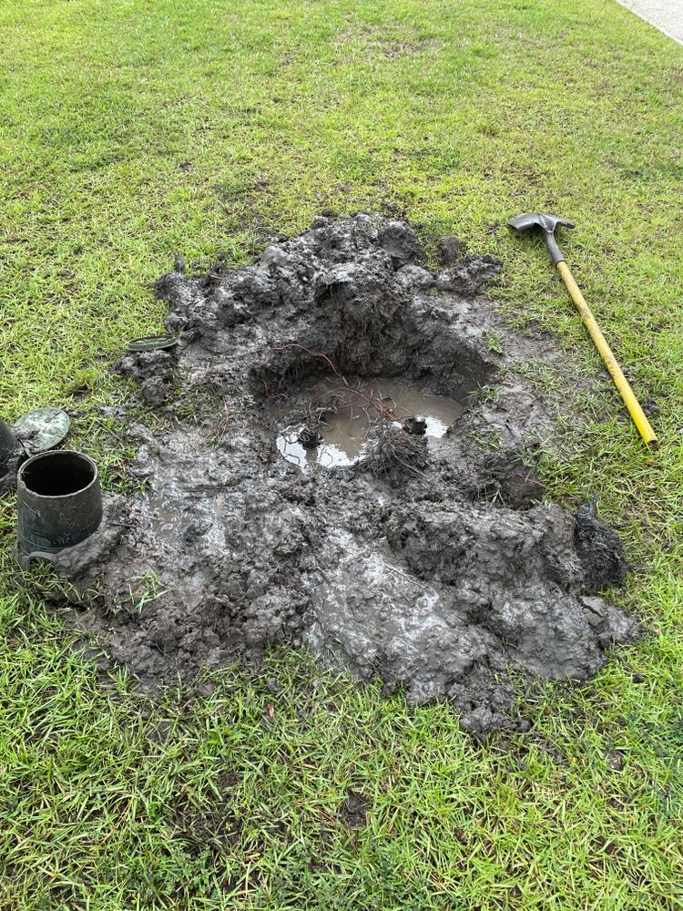 All Photos for Golden Isles Greenery in Brunswick, GA