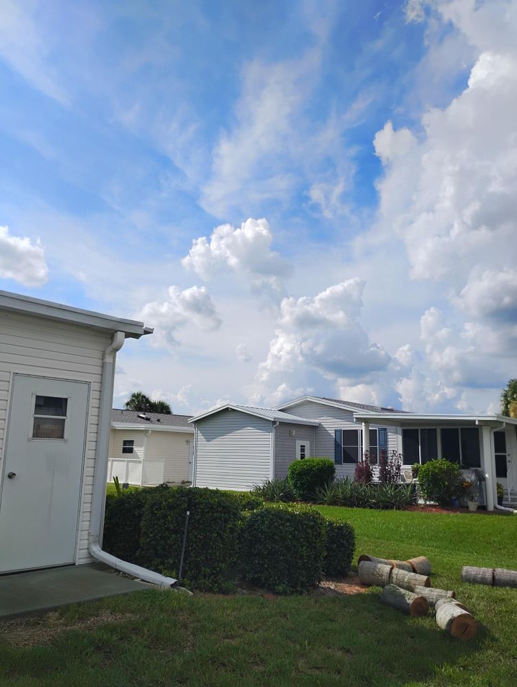 All Photos for Highlands Tree Service LLC in Avon Park, FL