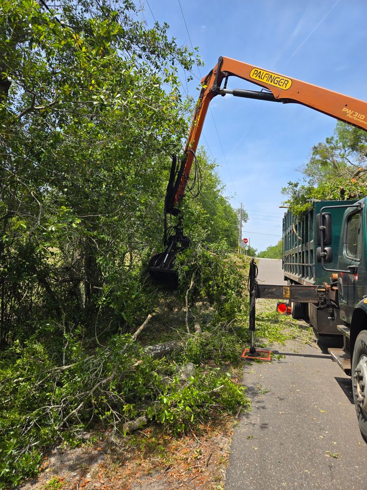 All Photos for Near Me Tree Service, Inc. in DeLand, FL