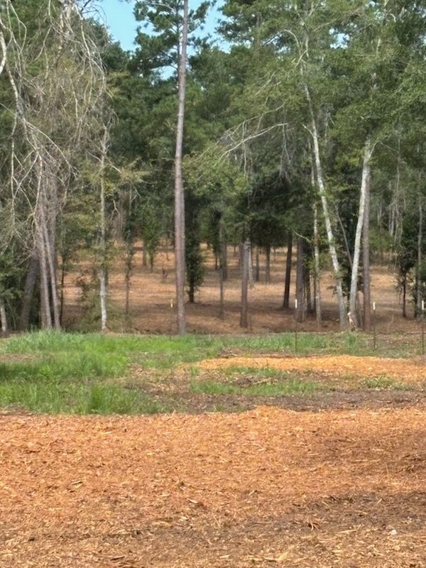 All Photos for JM Services in Woodville, TX