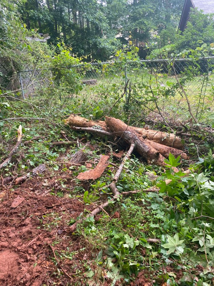 All Photos for Bulldawg Disaster Response in Atlanta, GA