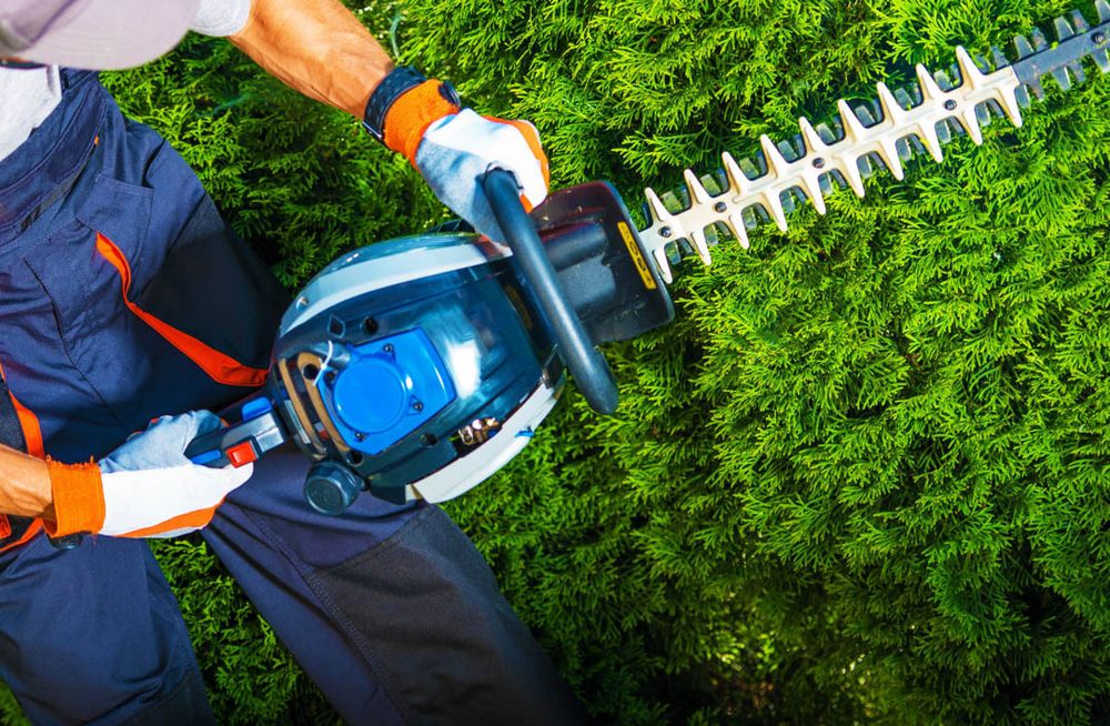Our Shrub and Tree Trimming service will help your yard look its best, with professional pruning to ensure healthy growth and a beautiful aesthetic. for Big Island Coconut Company in Pilialoha, HI