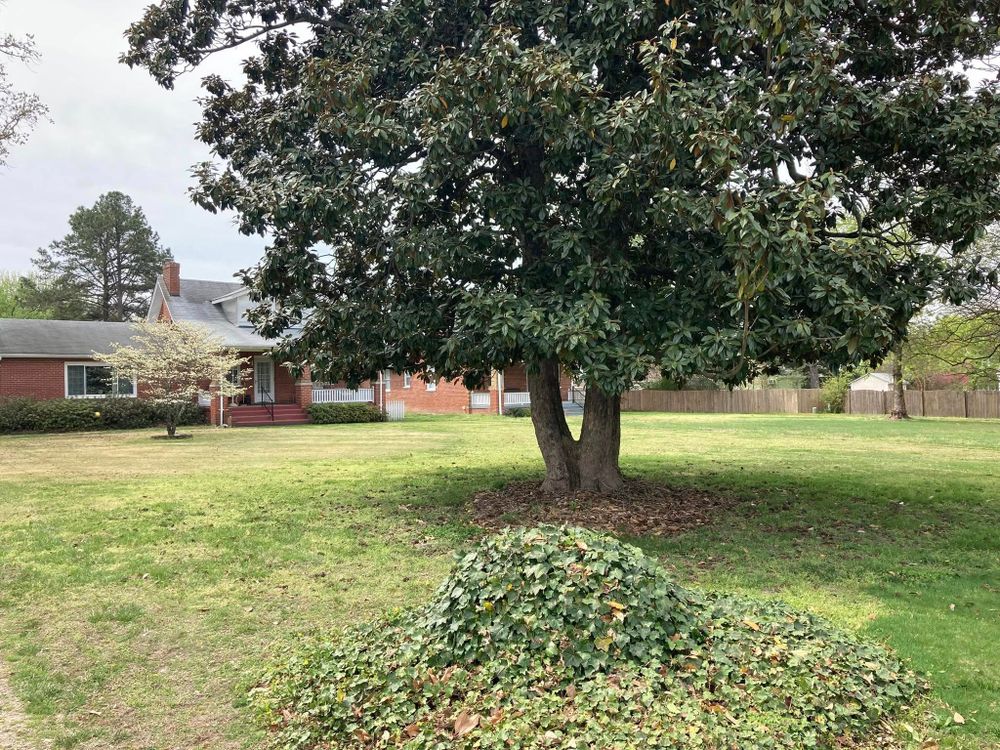All Photos for Green Horizon Lawncare in North Chesterfield, VA