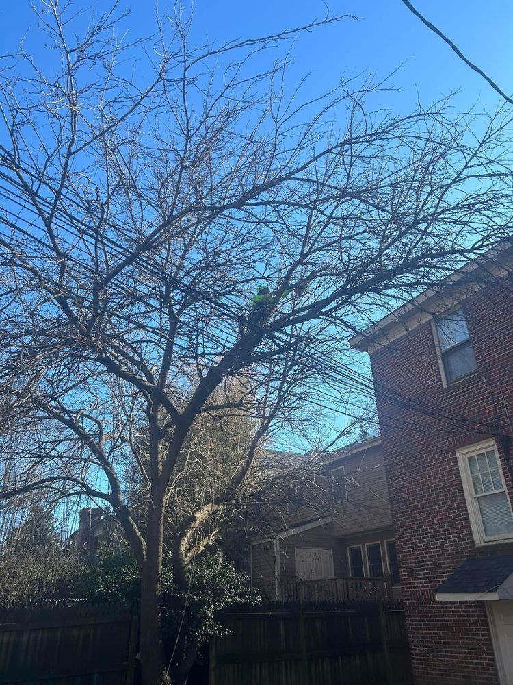 All Photos for Oakhurst Landscaping and Tree Service in Charlotte, NC