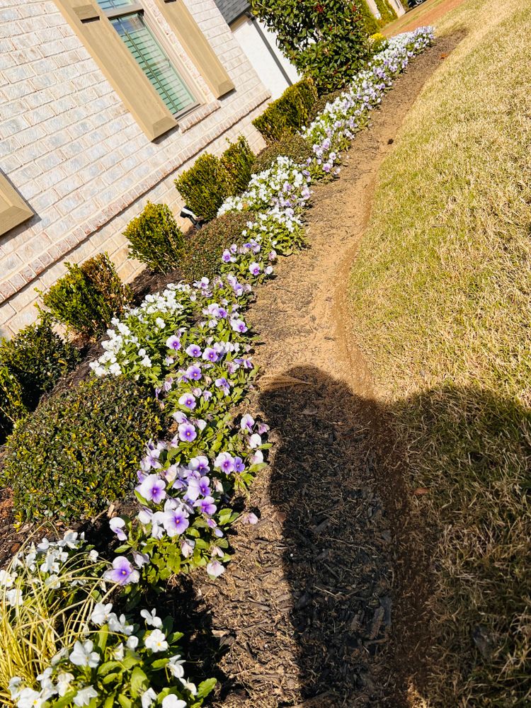 All Photos for Sanchez Z. Landscaping in Memphis, TN