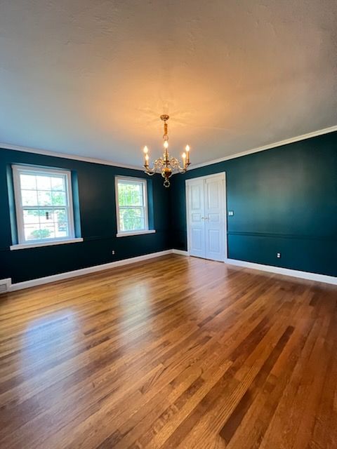 All Photos for D'Amore's Home Improvement, LLC in Westfield, NJ