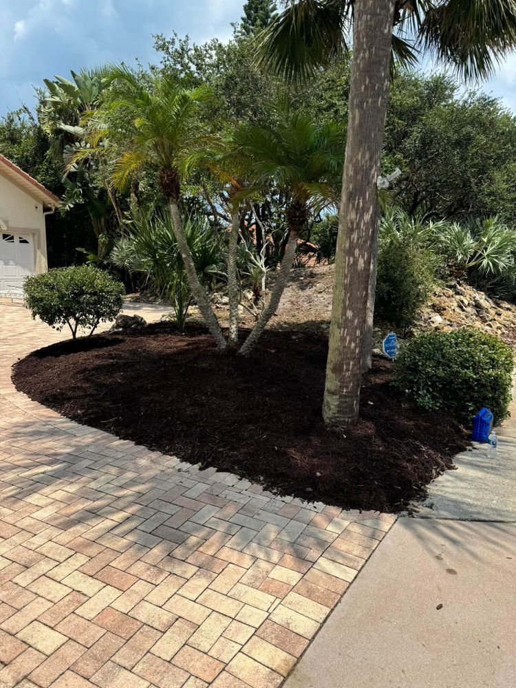 All Photos for Cunningham's Lawn & Landscaping LLC in Daytona Beach, Florida