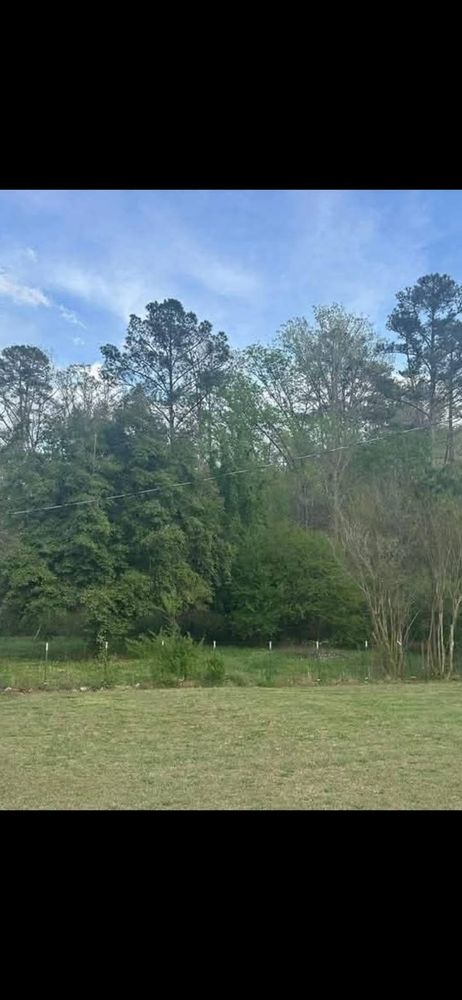 All Photos for Big C Land Management in Anniston, AL