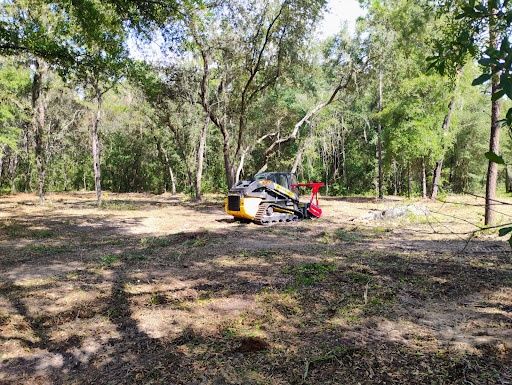 All Photos for Aztec Land Destroyers LLC in Ocala, FL