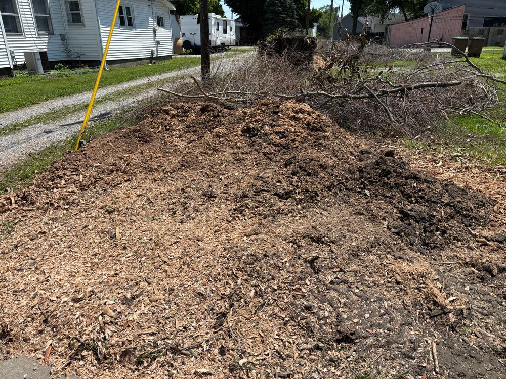 All Photos for Conrad's Stump Removal in Columbus, IN