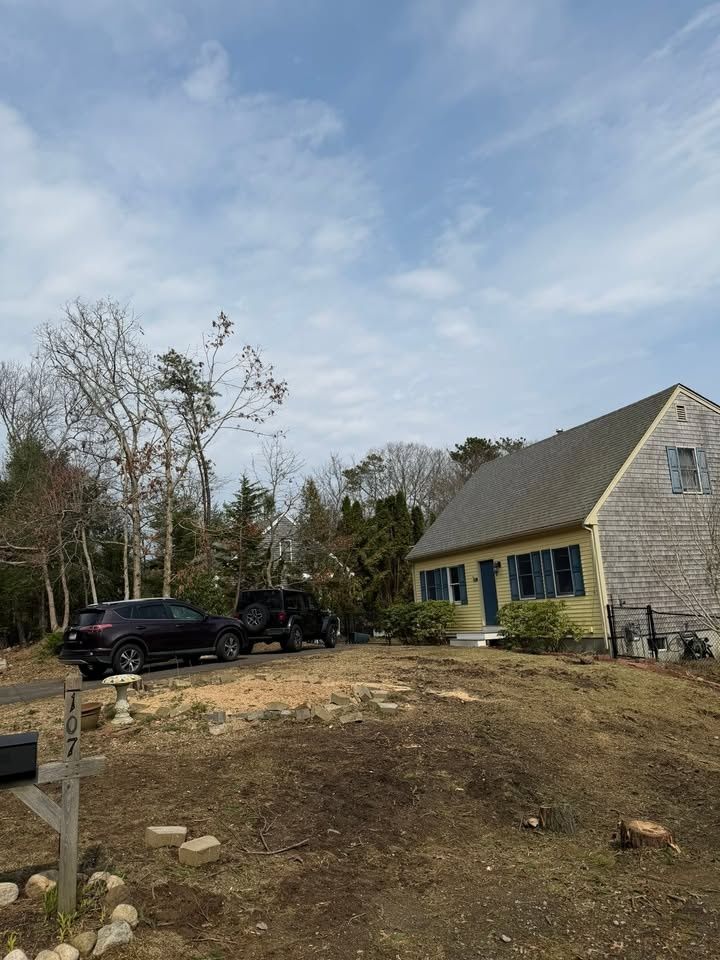 All Photos for Native Roots Tree Service in Cape Cod, MA