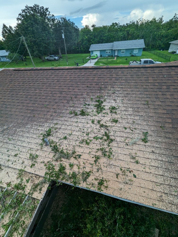 All Photos for Regal Tree Service and Stump Grinding in Wauchula, FL