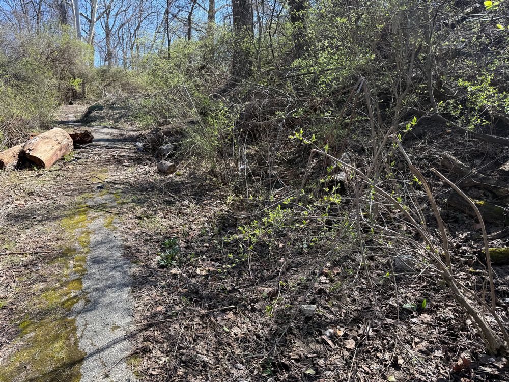 All Photos for A1 Bush Hogging & Lawn Service in London, OH