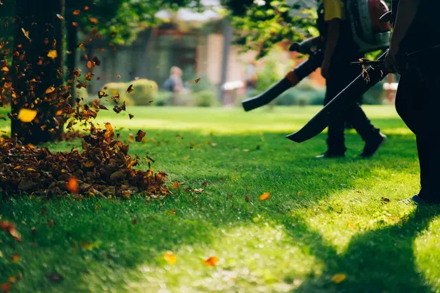Our leaf cleanup service efficiently clears your yard of fallen leaves and debris to ensure a tidy outdoor space. Trust our expert team for fast and reliable leaf removal solutions. for Giles Land Management, LLC in Hahira, GA