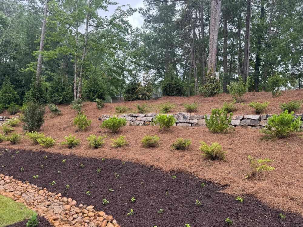 All Photos for Capital GREEN in Atlanta, GA