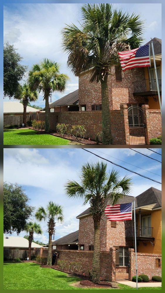 All Photos for Ken's Elite Cutters LLC  in Breaux Bridge, LA
