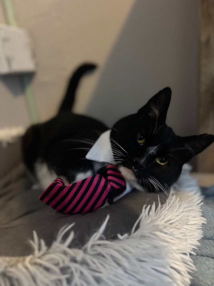 All Photos for Sullivan Sanctuary of Maine in Brunswick, ME