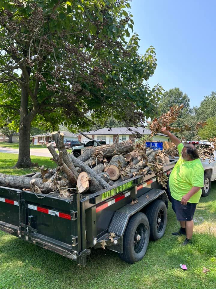 Tree Removal for Logan Tree Care LLC in Springfield, MO