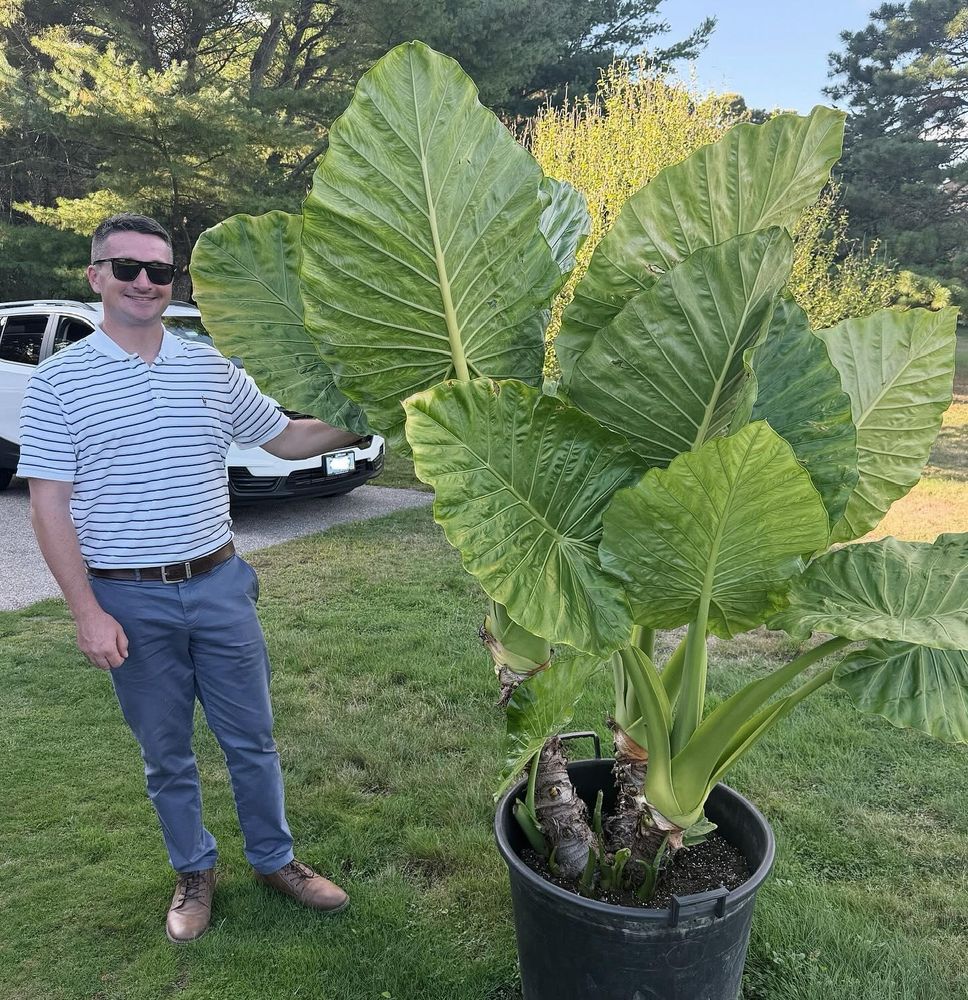 All Photos for RI Outdoor Living  in Charlestown, Rhode Island