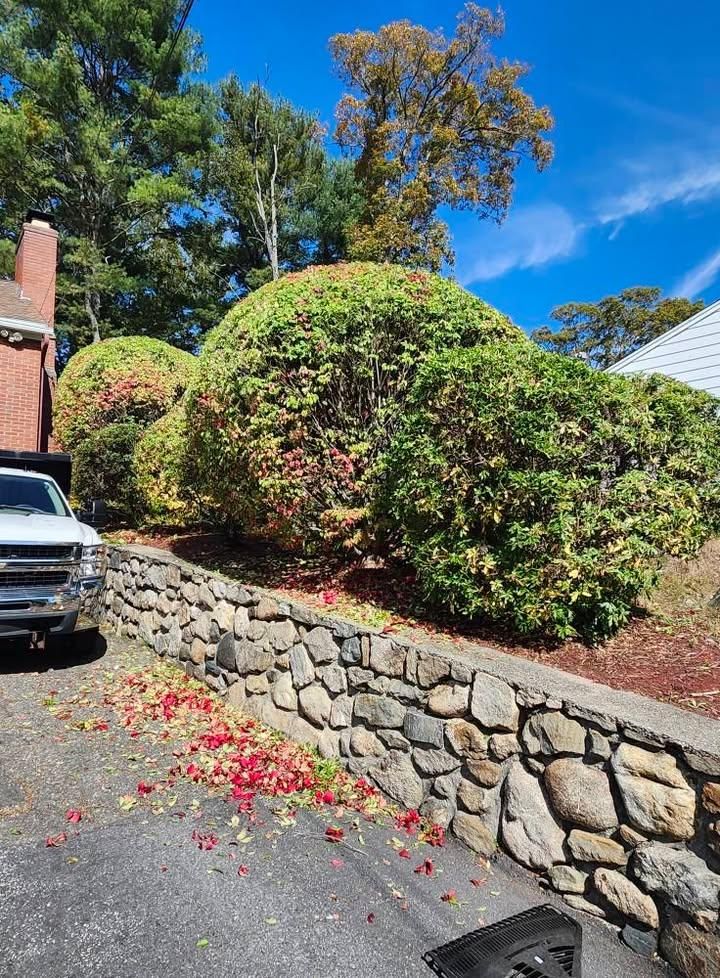 All Photos for Landscape Innovations LLC in Torrington, CT