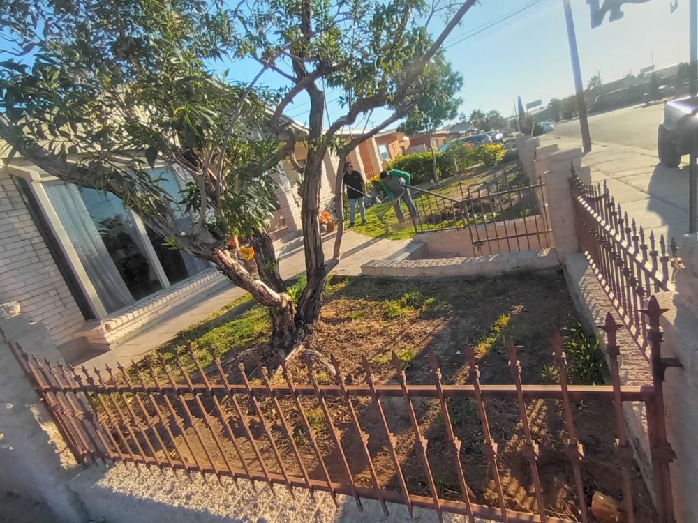 All Photos for Oasis Landscaping LLC in El Paso, TX