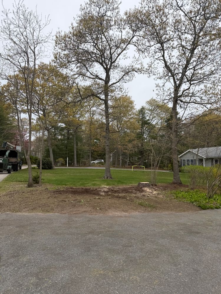 All Photos for Native Roots Tree Service in Cape Cod, MA