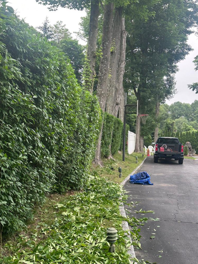 All Photos for Guaman’s Landscaping in Waterbury, CT