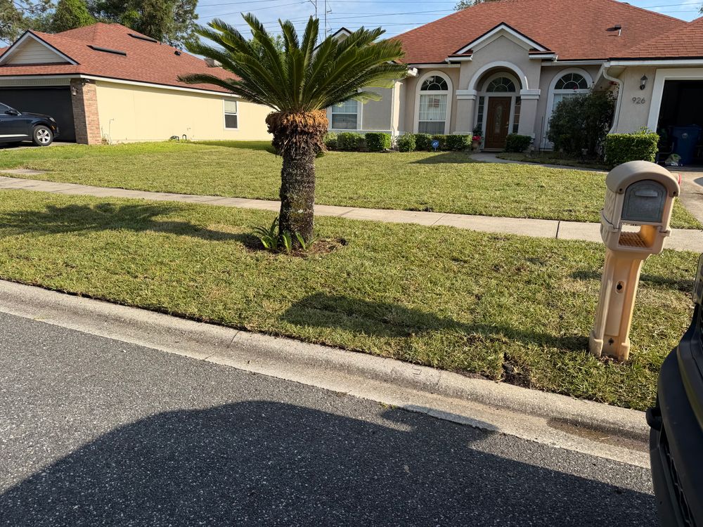 All Photos for All of the Above Landscaping in Orange Park, FL