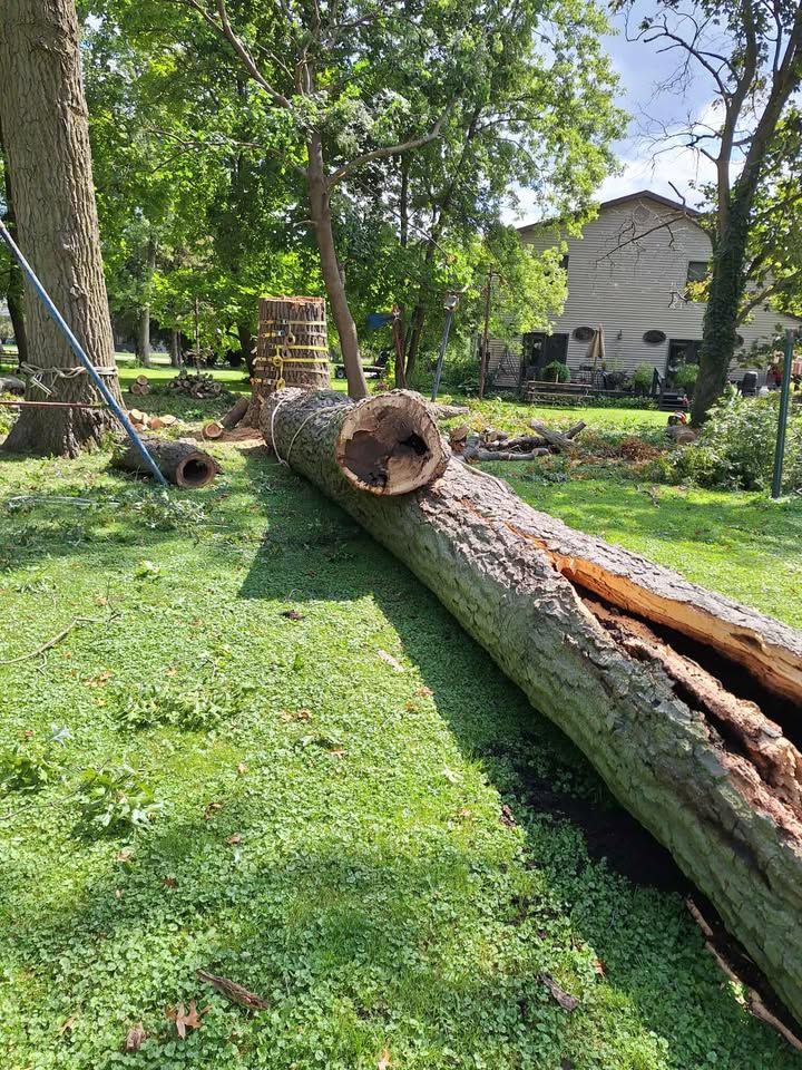 All Photos for Highborn Tree Service in Wheatfield, IN