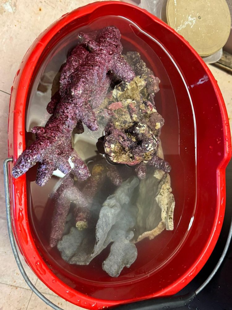 Aquarium Maintenance for Aquariums by Sharyn in The State of Florida, FL