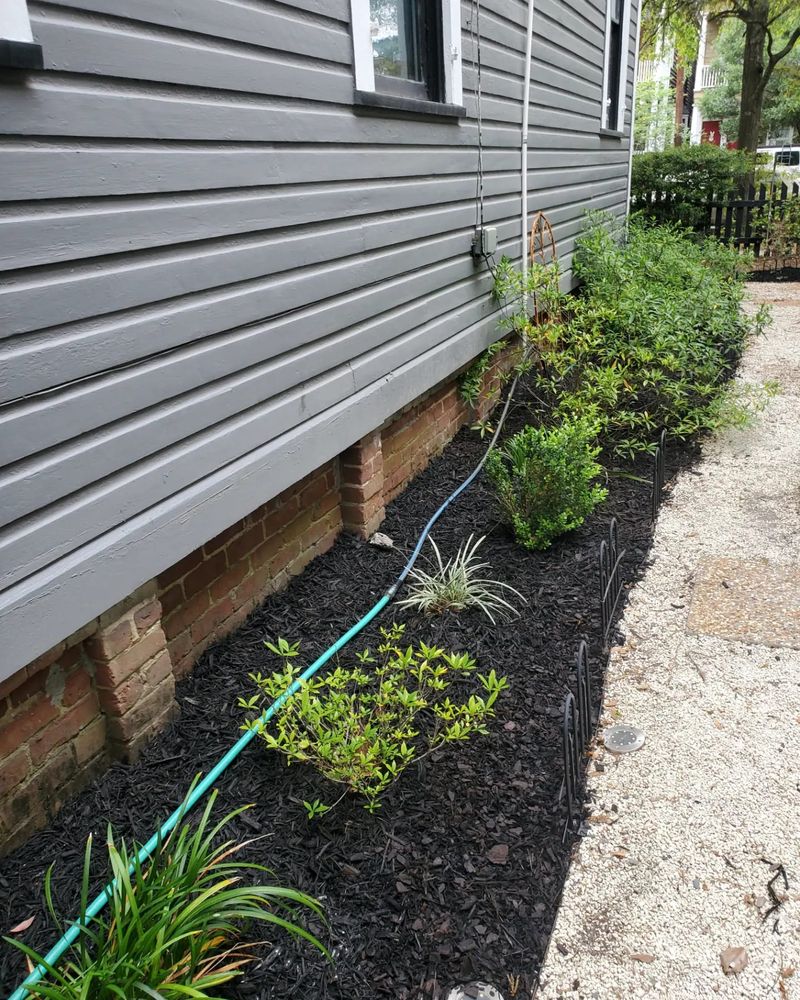 Lawn Care for Ready Set Go Lawncare Services in Savannah, GA