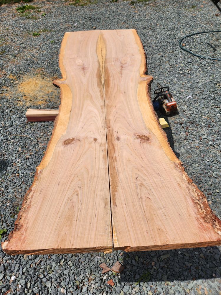 All Photos for Smith Tree Experts in Palmyra, VA